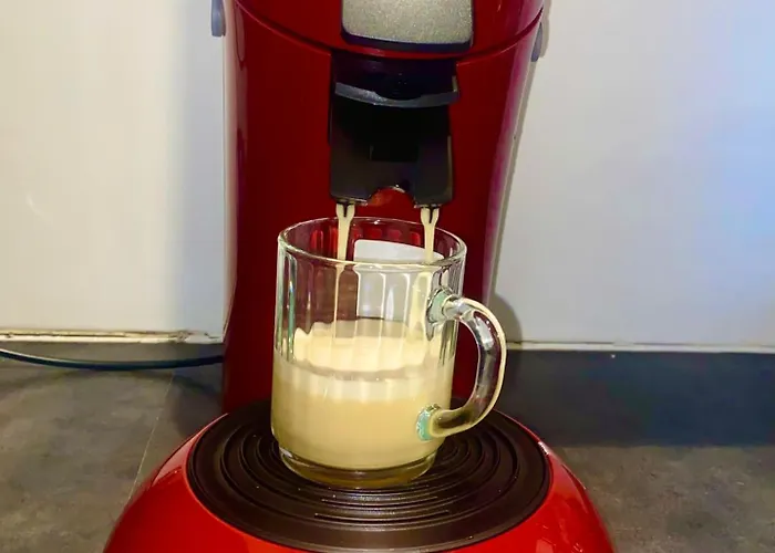 Charming In Center Apartmán *