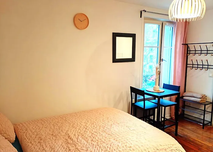 Charming In Center Apartment Nancy